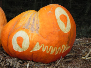 Big Eyes, Nipomo Pumpkin Patch best carving idea